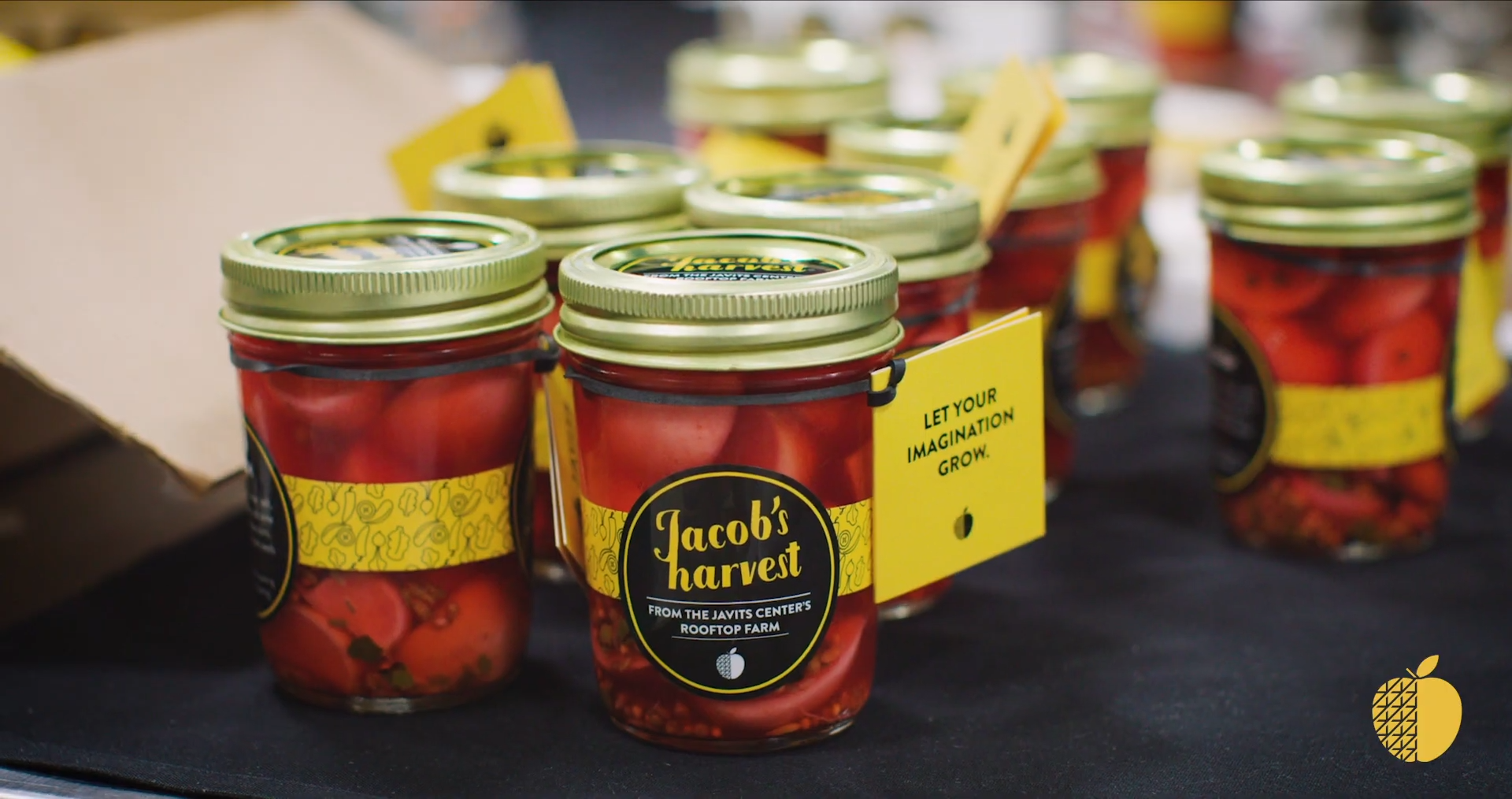 Jacob's Harvest video thumbnail