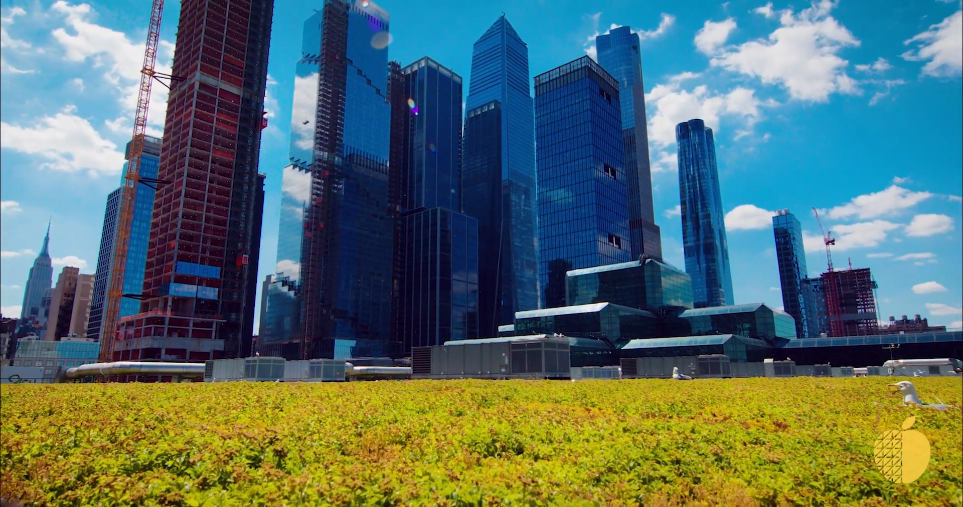 The Green Roof video thumbnail