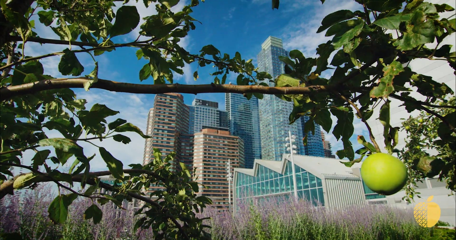 Pavilion Plus Orchard video thumbnail