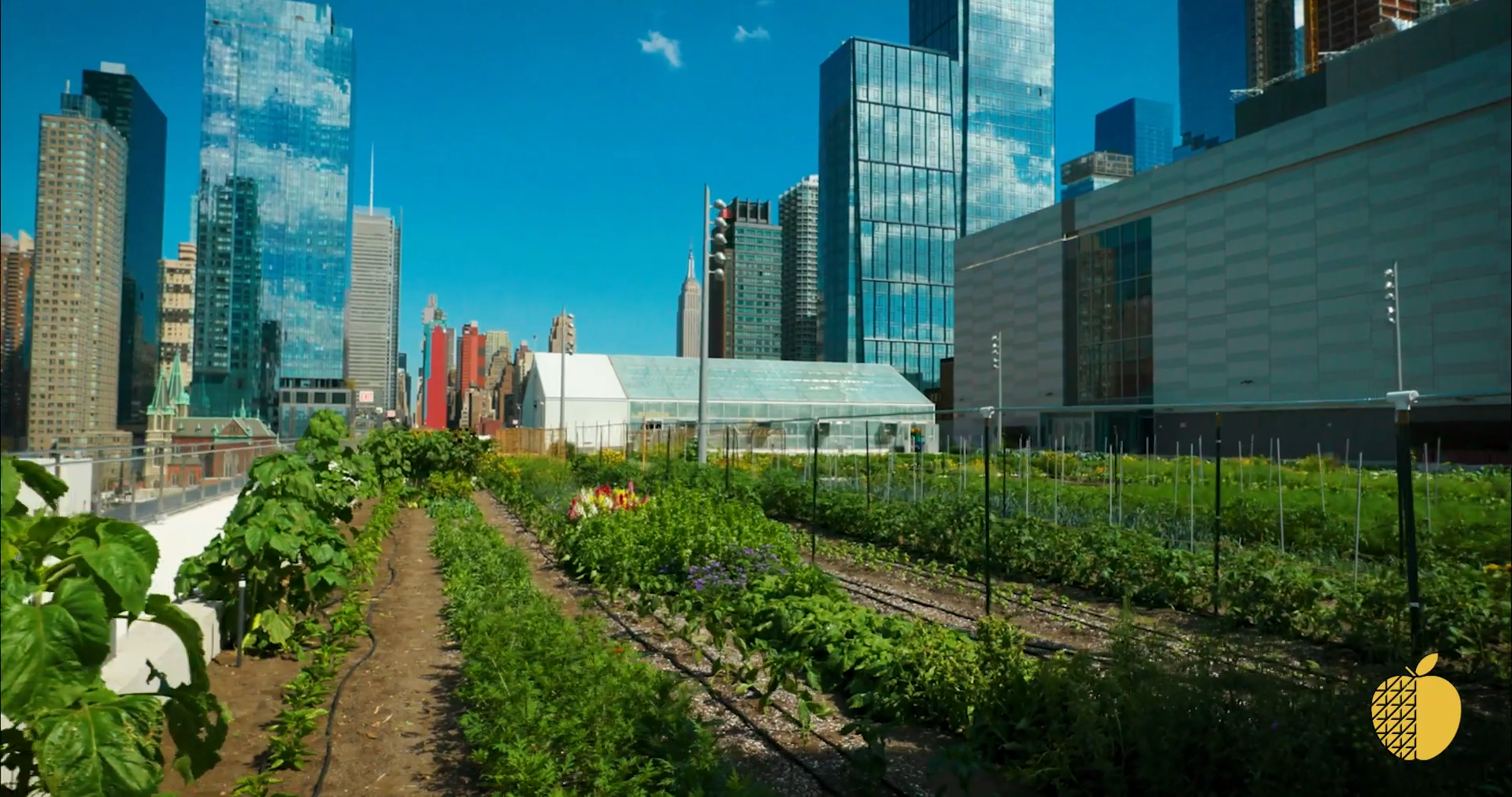 Steel Farm video thumbnail